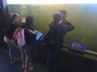 IMG-20190412-WA0084